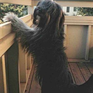 Meet your Posher, Pj